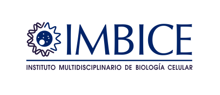 En este momento estás viendo Instituto Multidisciplinario de Biología Celular (IMBICE)