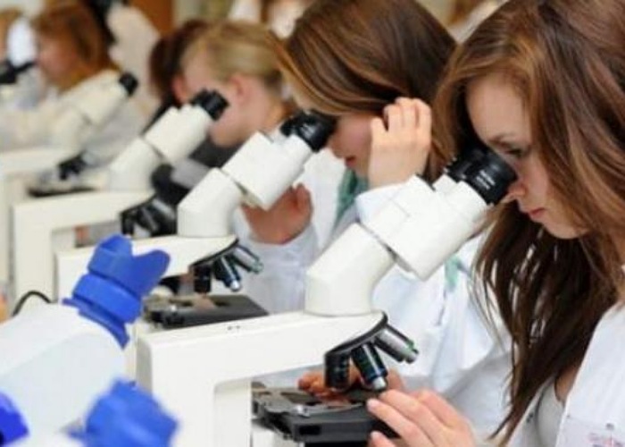 En este momento estás viendo Investigadoras de la CIC reflexionan sobre los desafíos de hacer ciencia<p class = "resumen">Las mujeres todavía sortean obstáculos para desempeñarse en el campo científico. Siguen su pasión esquivando estereotipos y trabajan a diario para romper con el techo de cristal.</p>