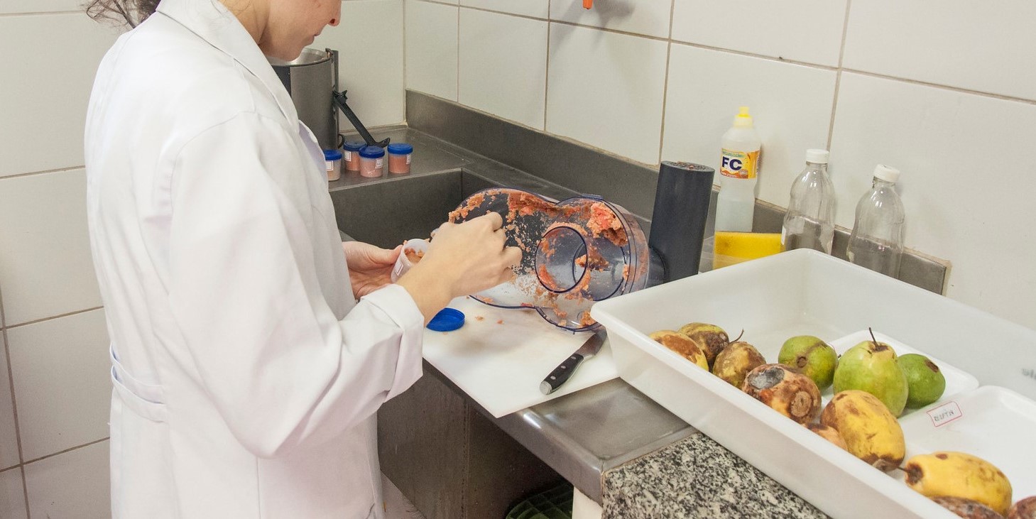 En este momento estás viendo Seguridad alimentaria: implementarán programa para asegurar la inocuidad de alimentos elaborados por emprendimientos familiares<p class = "resumen">El proyecto fue seleccionado por el programa “Ciencia y Tecnología contra el Hambre” y será liderado por Nora Padola, investigadora de la CIC.</p>