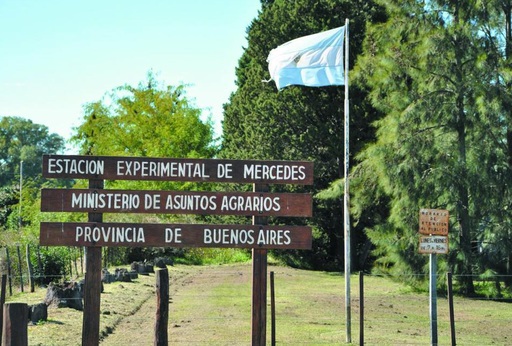 En este momento estás viendo Se encuentra disponible el programa de la Jornada I+D “Micropropagación de cultivos estratégicos”<p class = "resumen">La Comisión de Investigaciones Científicas de la provincia de Buenos Aires comunica que se encuentra disponible el programa de la Jornada I+D Bonaerense en la localidad de Mercedes, en donde […]</p>