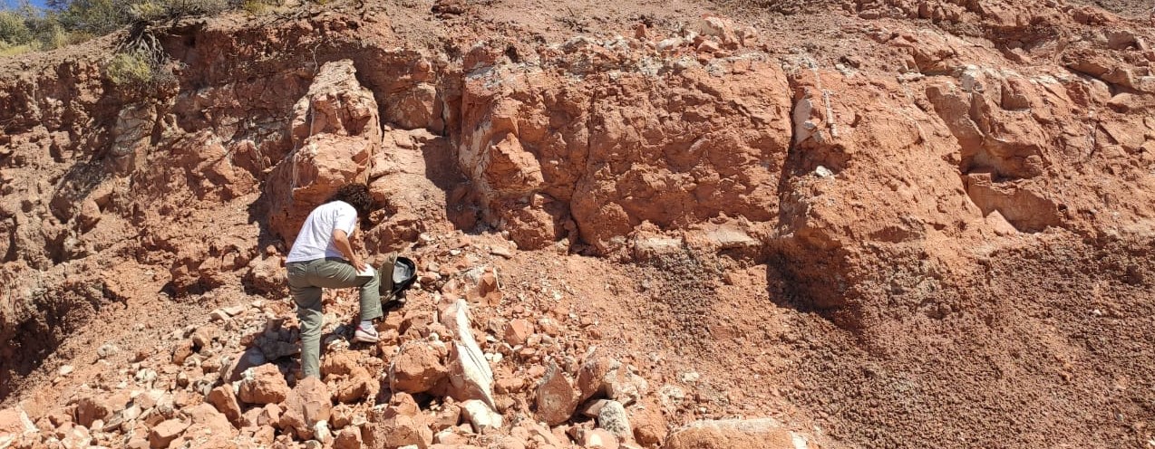 En este momento estás viendo Estudian minerales que podrían reemplazar parte del cemento portland para la construcción<p class = "resumen">Se trata de zeolitas, un grupo de minerales que permitiría el desarrollo de hormigones bajando costos y reduciendo el impacto ambiental durante la producción.</p>