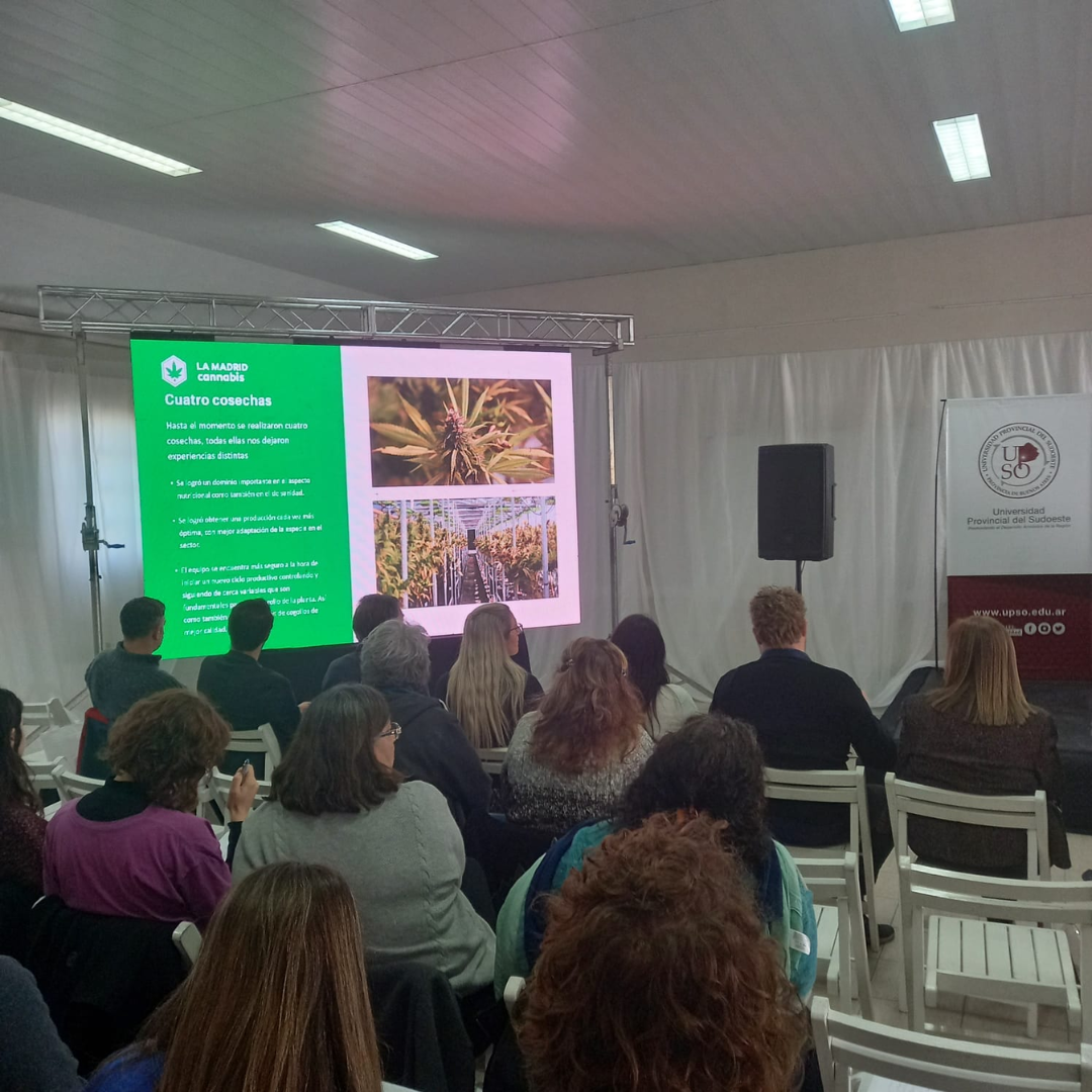 En este momento estás viendo Se realizó la 2da Jornada I+D de Cannabis Medicinal y Cáñamo en la Industria en Pigüé <p class = "resumen">El eventó contó con la participación de referentes del sector productivo y representantes de municipios que impulsan iniciativas vinculadas a la producción local de cannabis y cáñamo.</p>