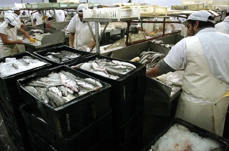 Lee más sobre el artículo Censo de la pesca: estudian la realidad laboral en el sector pesquero de Mar del Plata