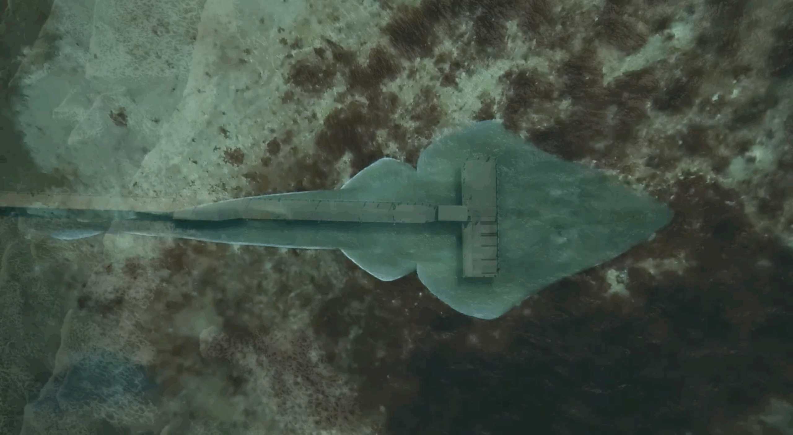 En este momento estás viendo Pesca, ciencia y conservación: un desafío para salvar al Pez Guitarra <p class = "resumen">Vive a pocos metros de profundidad en la costa bonaerense, es fundamental para el equilibrio del fondo marino y hoy científicos, pescadores y comunidades costeras trabajan juntos para evitar su desaparición.</p>