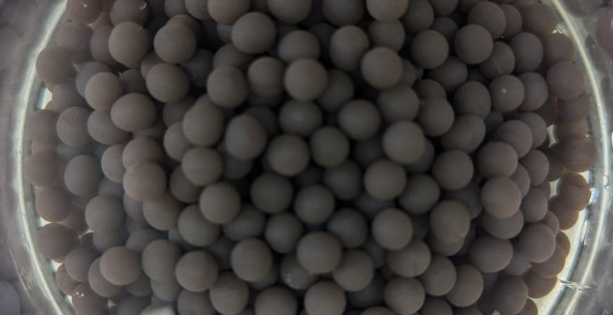 Lee más sobre el artículo Cianobacterias: estudian su eficacia para purificar agua y fertilizar suelos