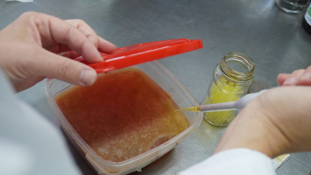        Mar del Plata: una investigación busca convertir residuos del puerto en bioplásticos